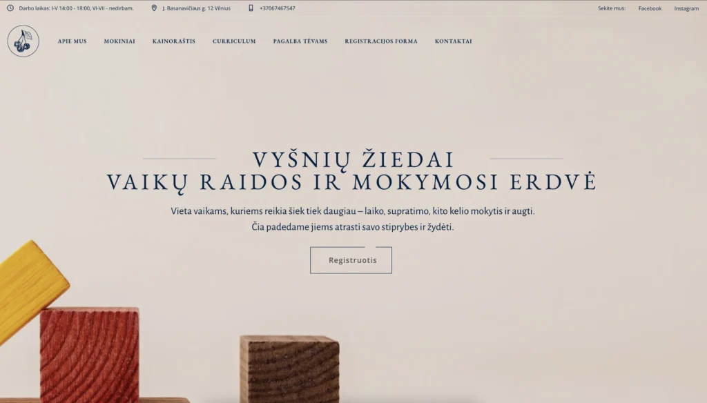 interneto puslapis - vysniu ziedai